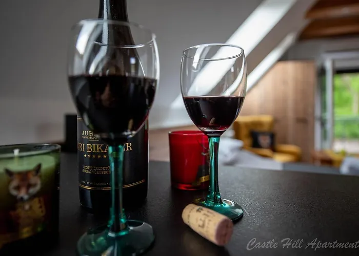 Castle Hill Premium Appartement *